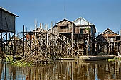 Tonle Sap - Kampong Phluk floating village - stilted houses 